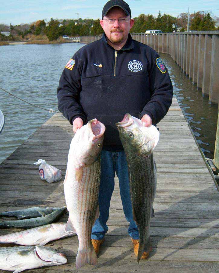 Striped Bass, Striper, Fishing Charters