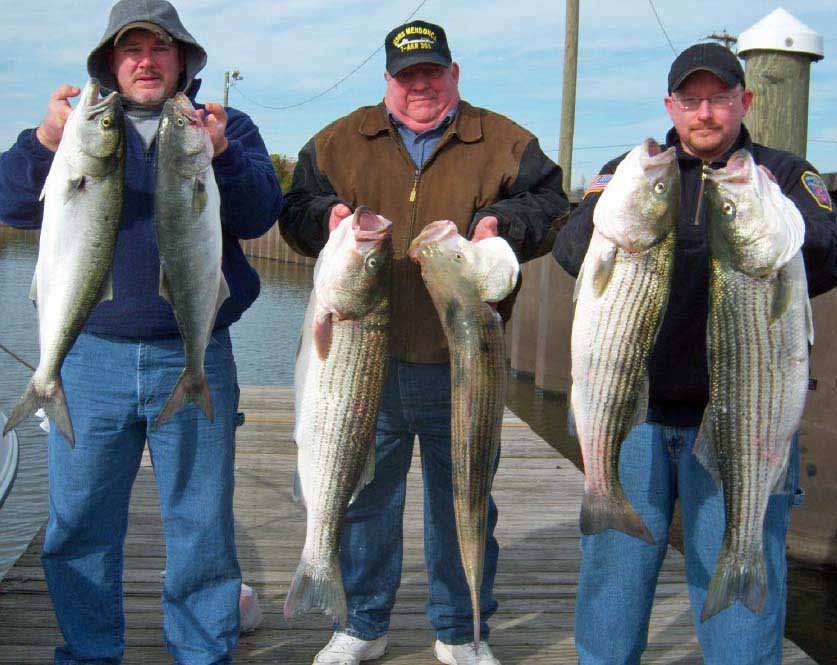 Stripers and Blues can be caught aboard time out charters.