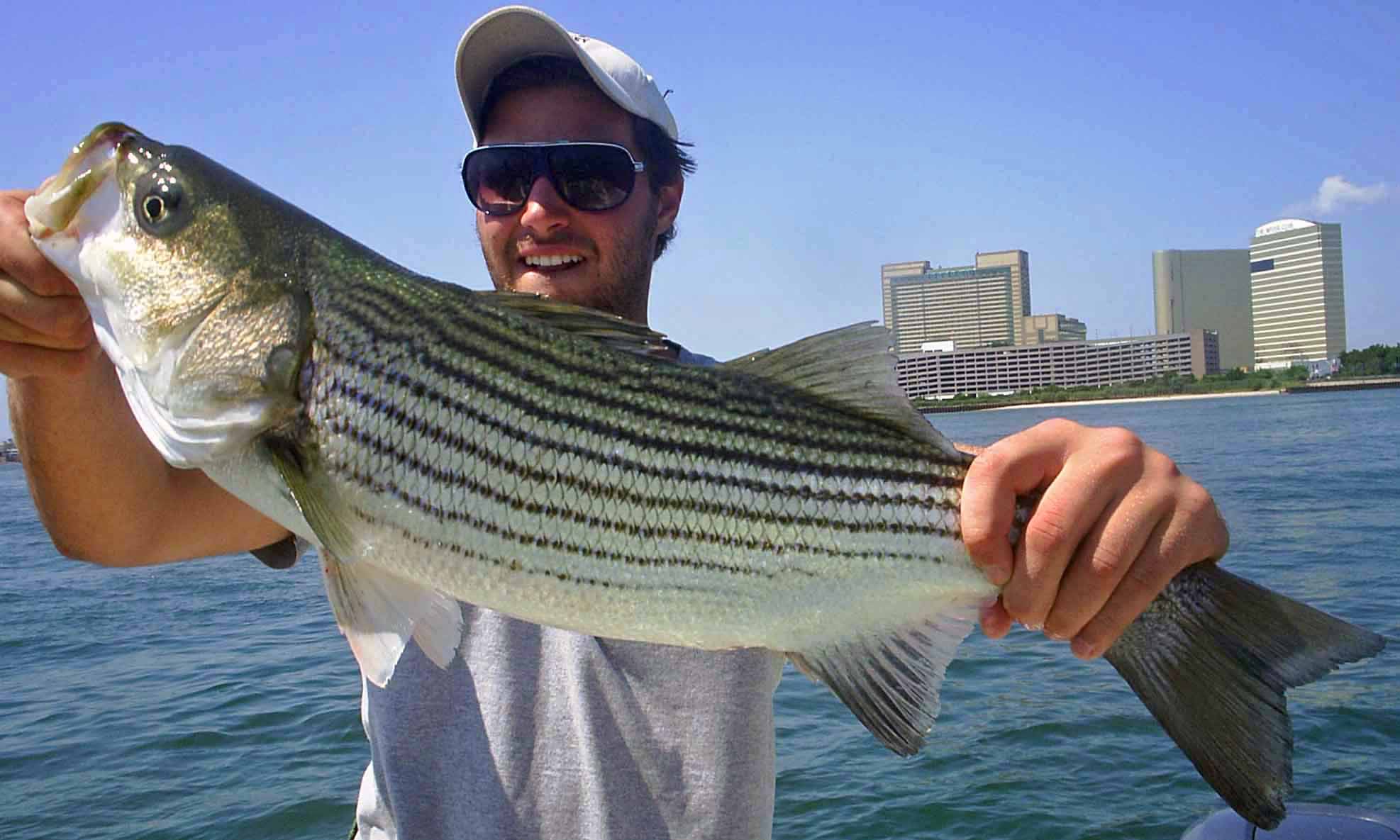 Catch Stripers near Atlantic City and Brigantine in the Calm Back Bay Waters!