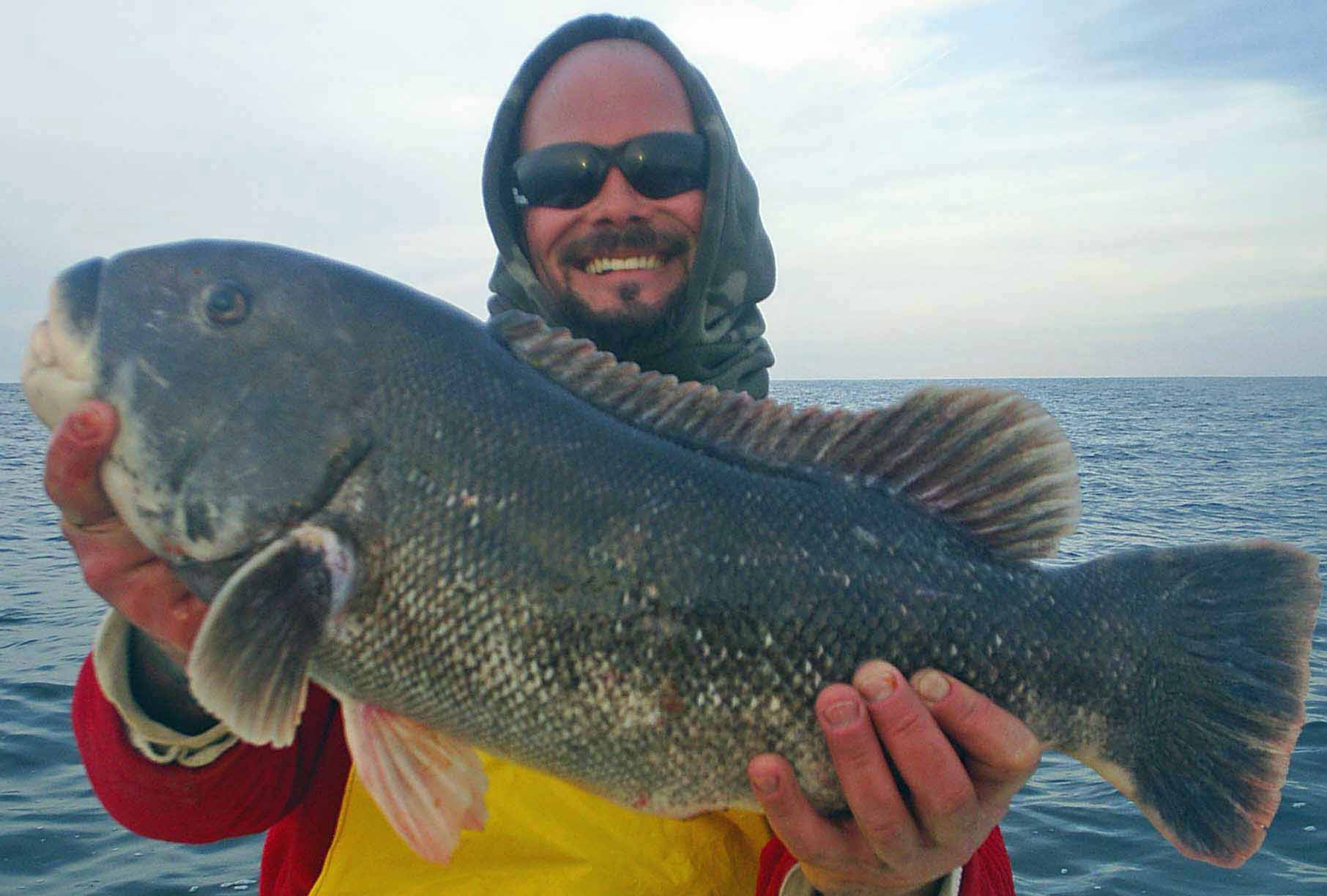tautog in the fall