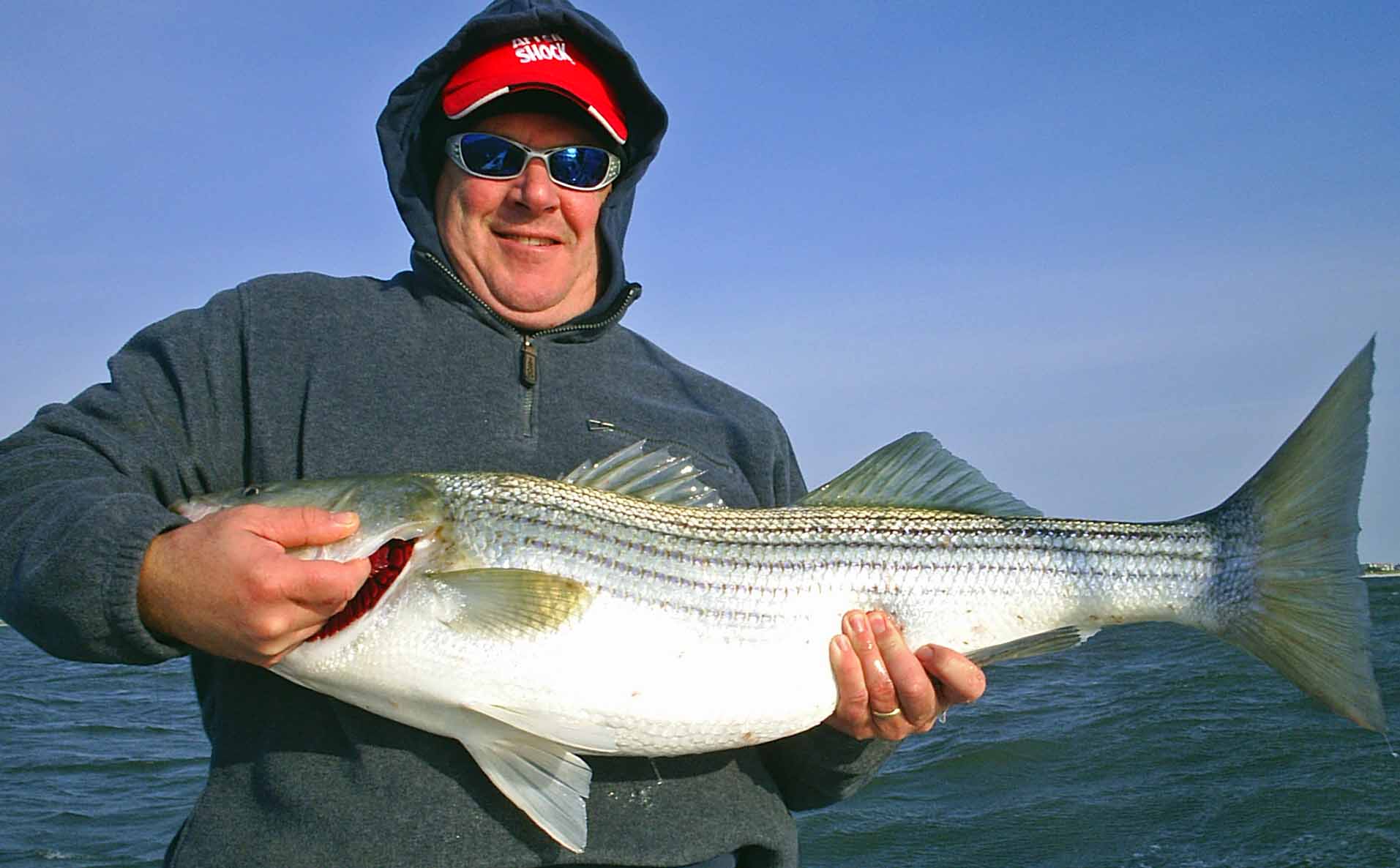 striped bass, stripers are prevalent in the fall