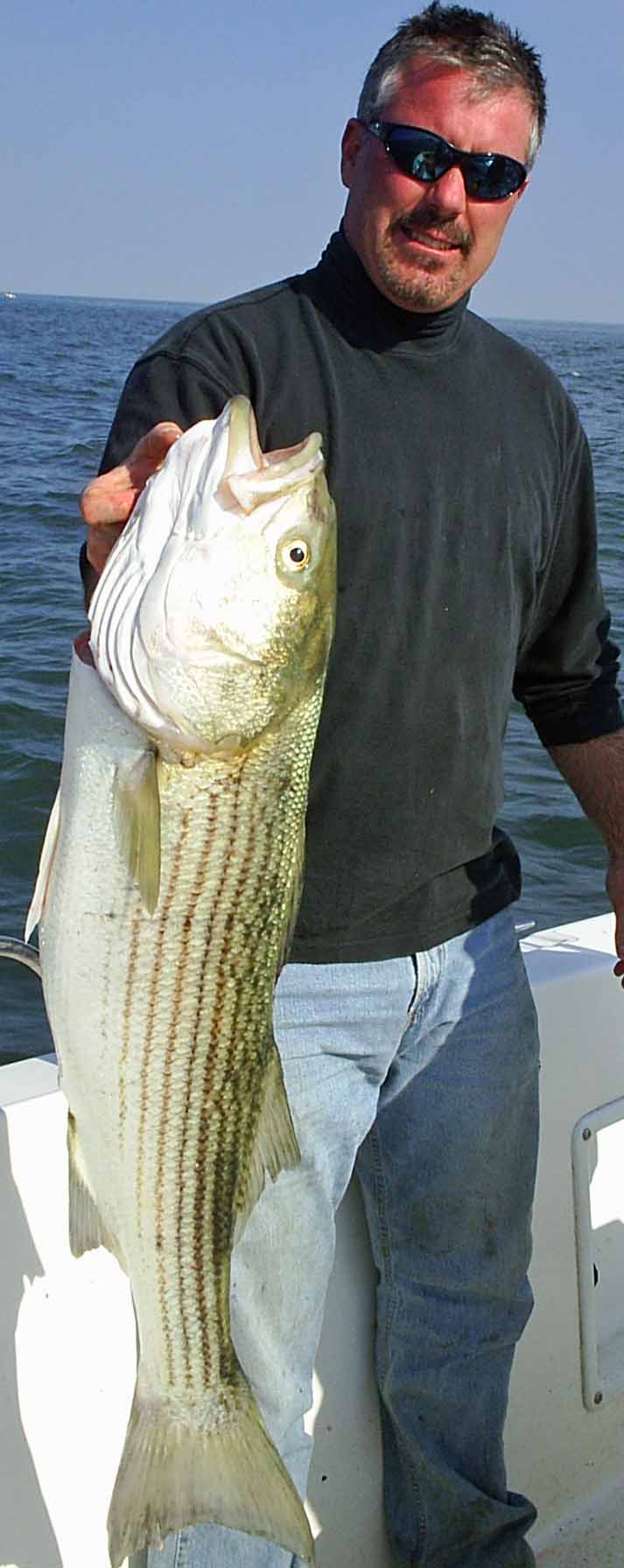 Striped Bass in New Jersey