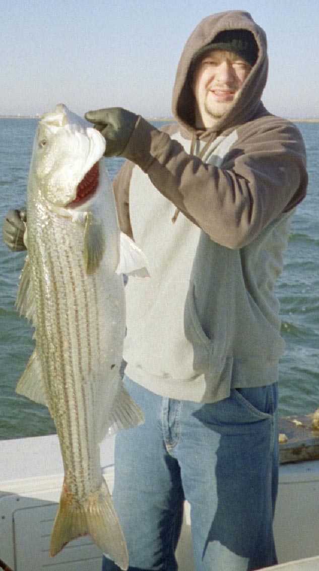 Striped bass, striper caught on Atlantic City fishing tour, Brigantine Beach fishing tour